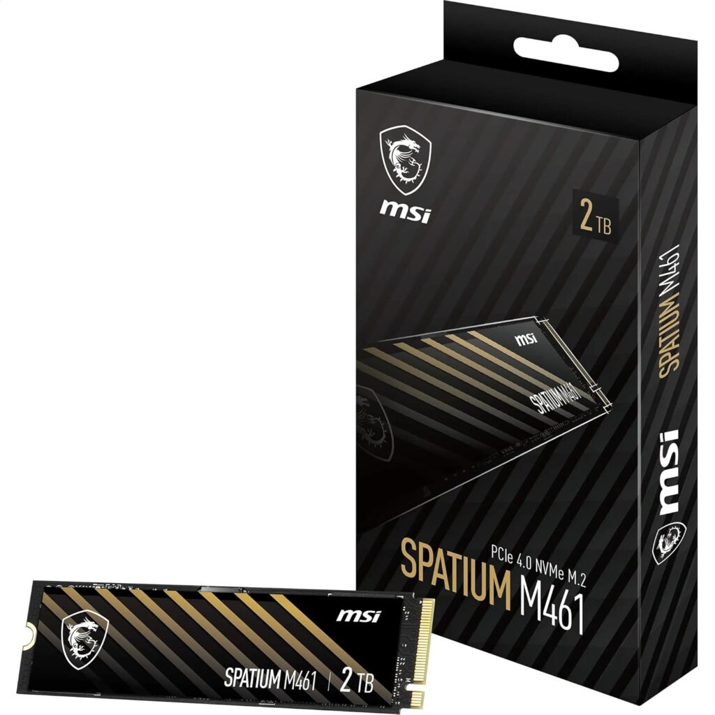 photo ssd MSI M461